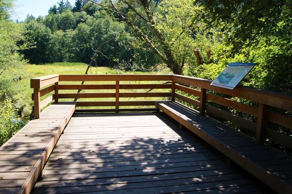 The Fish Park is only one of the crowning achievements Mary McCluskey played a part in after 26 years as director of Poulsbo’s parks department. Courtesy photo