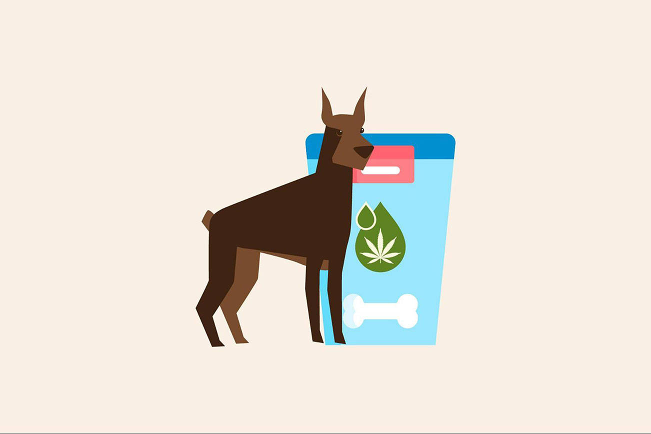 Best CBD Dog Treats main image