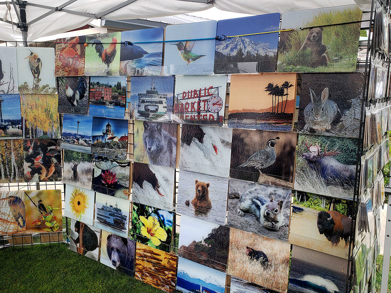 Poulsbo Art Festival 2025 Dore Mandie