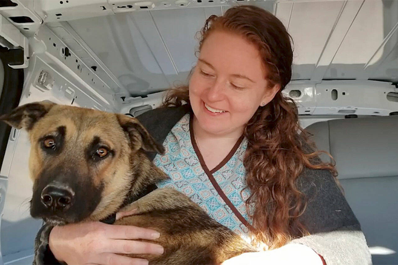 Dr. Jen Stonequist is a busy woman, from volunteering to help animals in Baja Mexico on her own dime to instructing fellow veterinarians on the principles of mindfulness in their practices. (Courtesy photo)