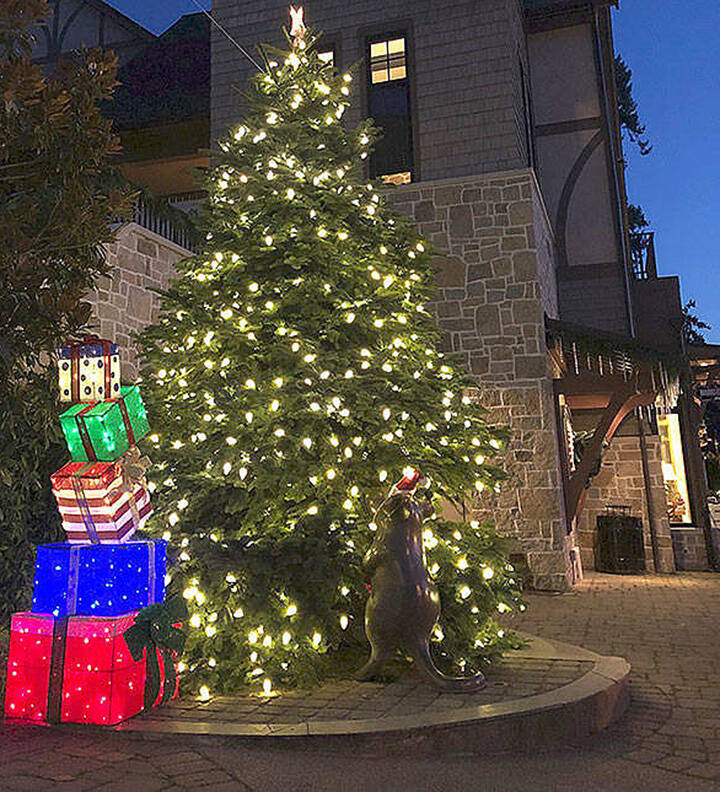 Christmas tree on display at Lynwood Center.