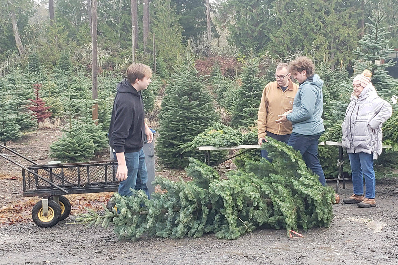 Shoppers decide on their favorite tree. Tyler Shuey/North Kitsap Herald photos