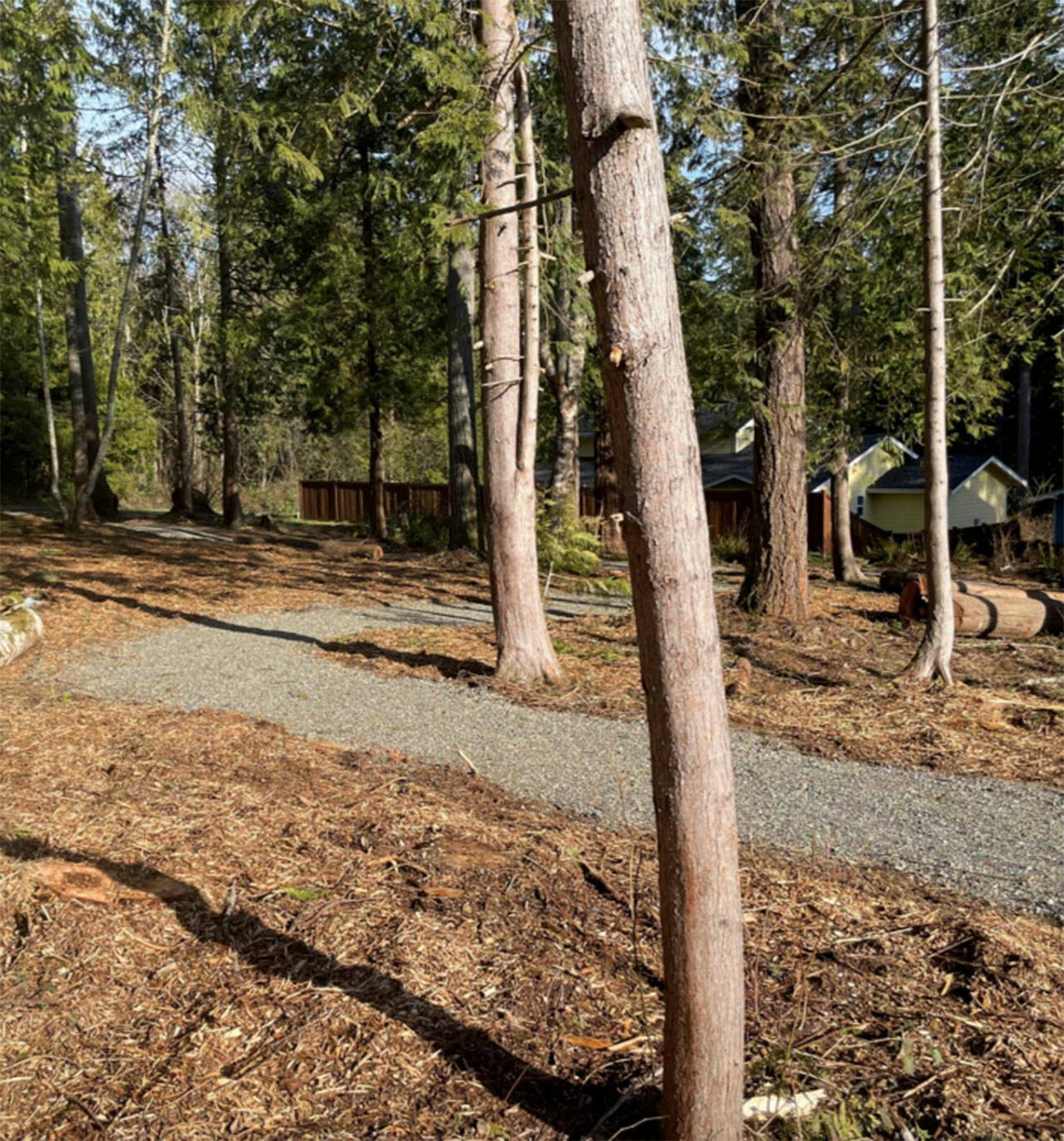 The initial phase of Rotary Morrow Community Park near Noll Road consisted of clearing, grading and installation of gravel trails. Courtesy Photos