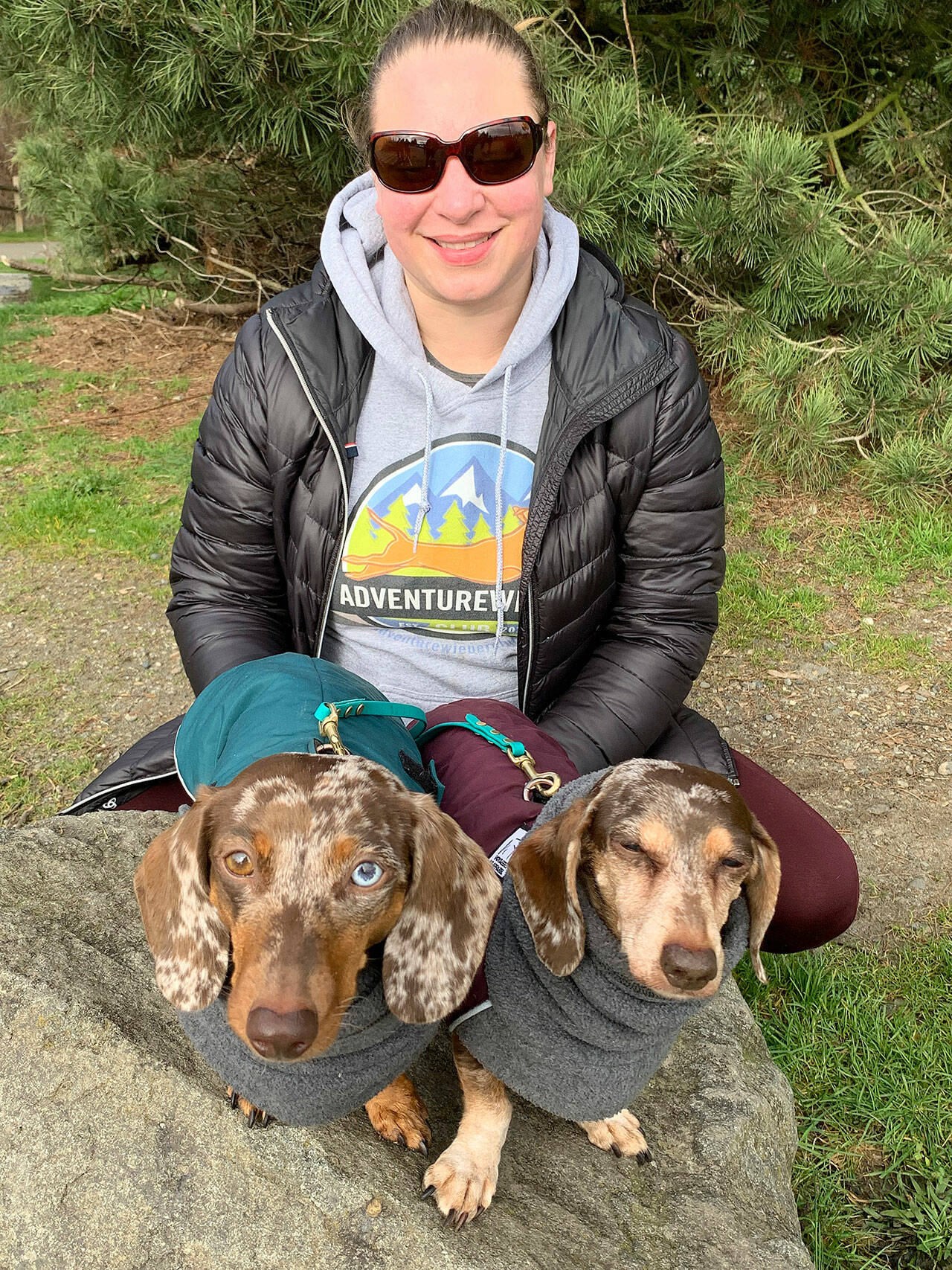 Gretel (left) and Summit take a break with their owner Jessica Williams, the organizer of the dachshund lovers group Adventurewiener Club. (Bob Smith | Kitsap Daily News)