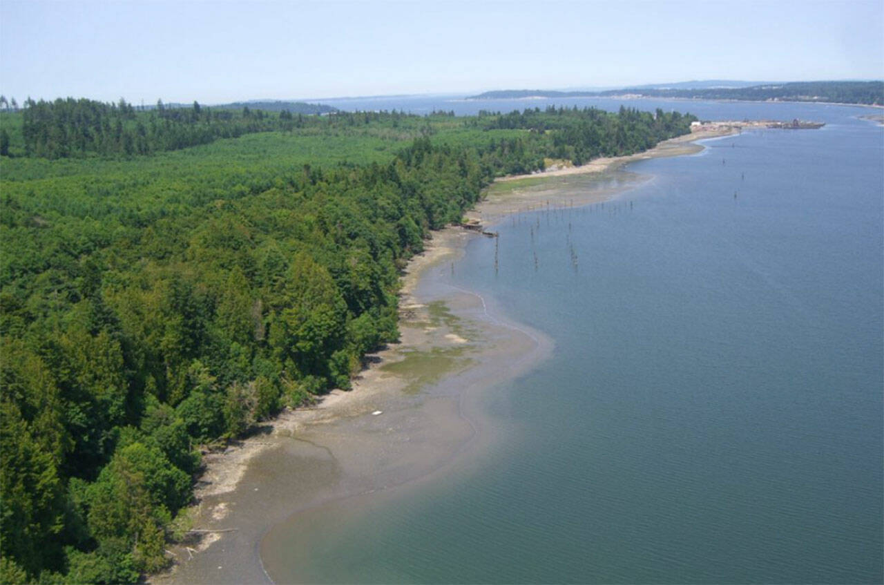 Aerial shot of Port Gamble Forest Heritage Park. Photo courtesy of Russ McMillan