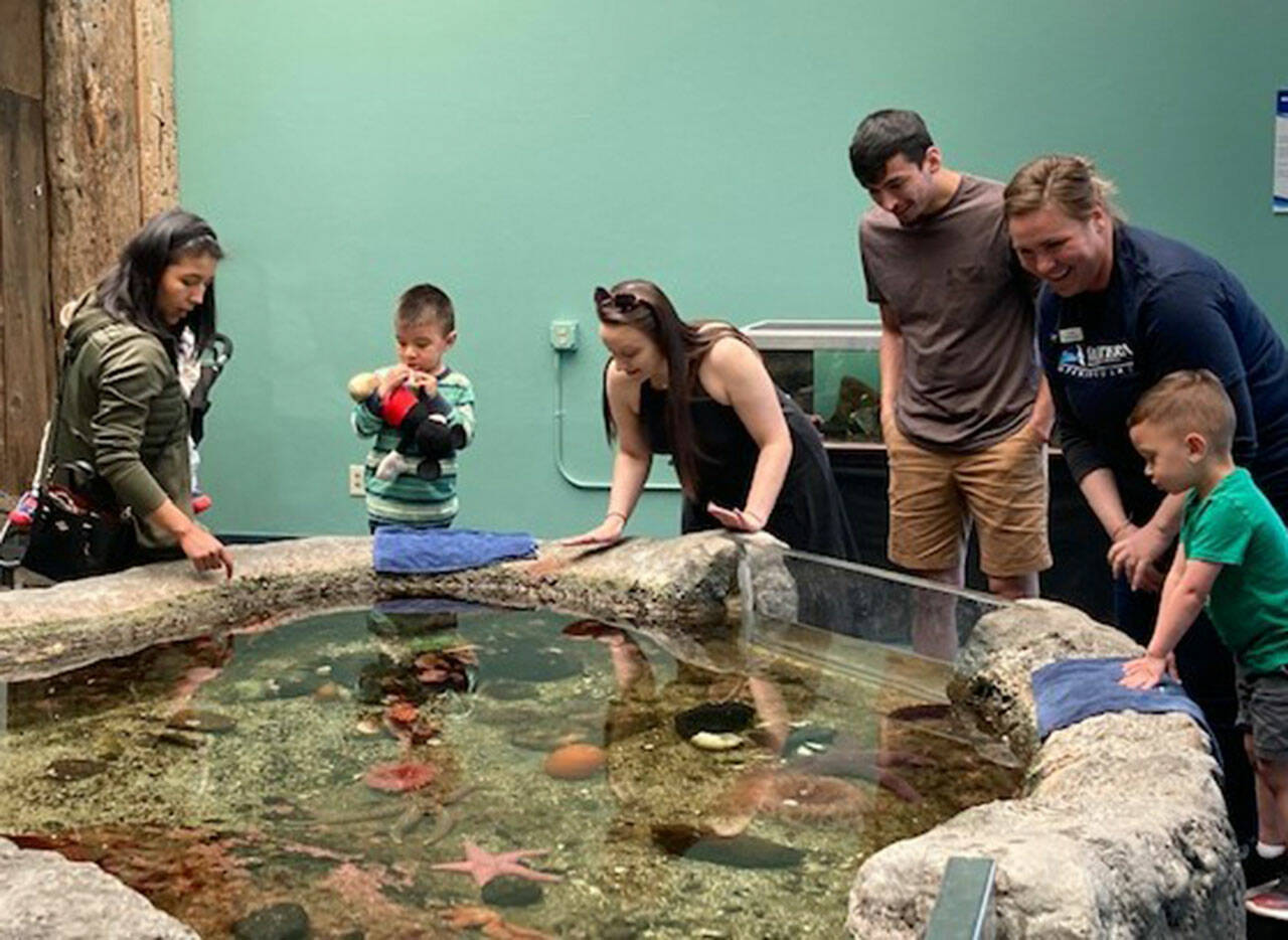 Over 400 people attended the aquarium during opening weekend, which coincided with Viking Fest.