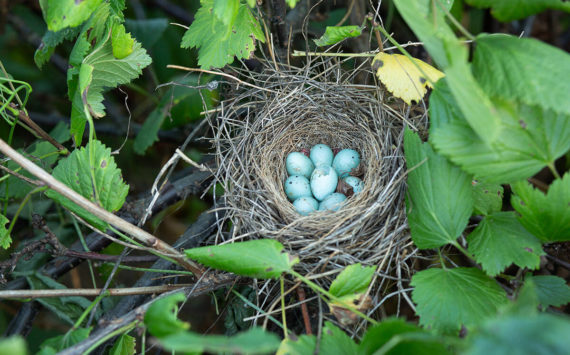 <em>Rising interest rates are hatching savings specials with higher returns.</em>