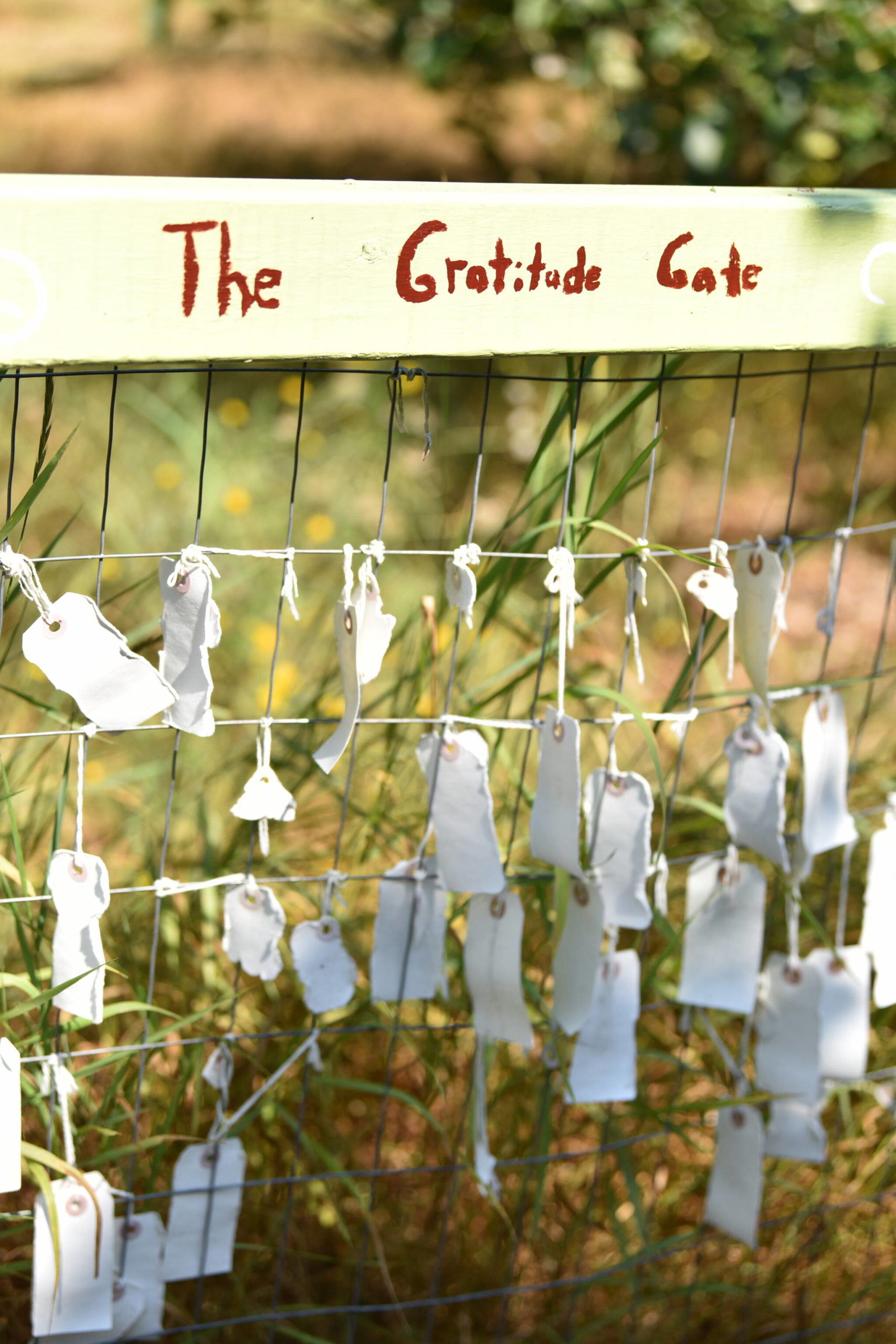 Notes dangle from the Gratitude Gate, one of many activities to do on the farm.