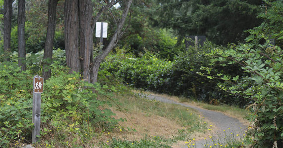 A wooded trail on the Bethany Lutheran Church property. File Photo