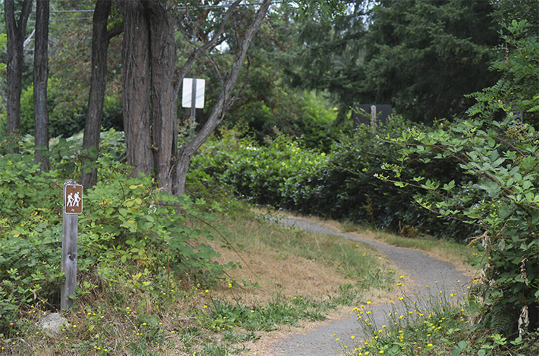 A wooded trail on the Bethany Lutheran Church property. File Photo