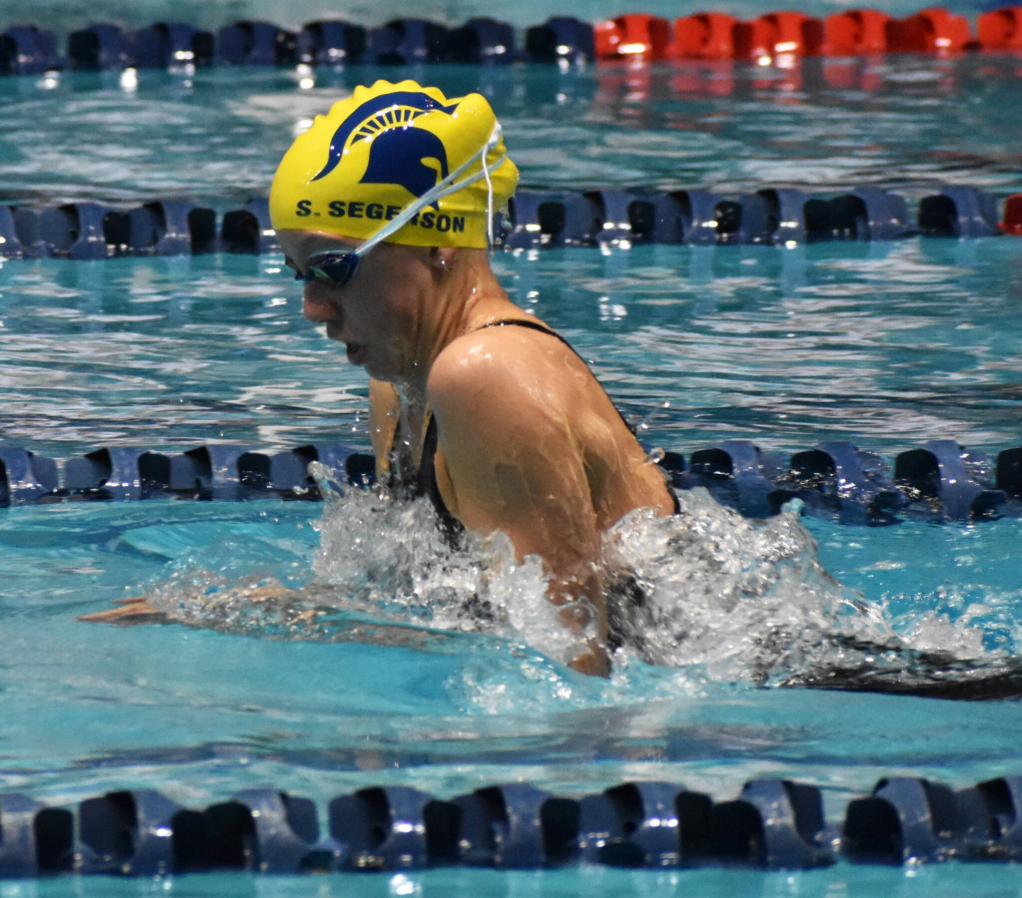 Kitsap swimmers do well at state Kitsap Daily News