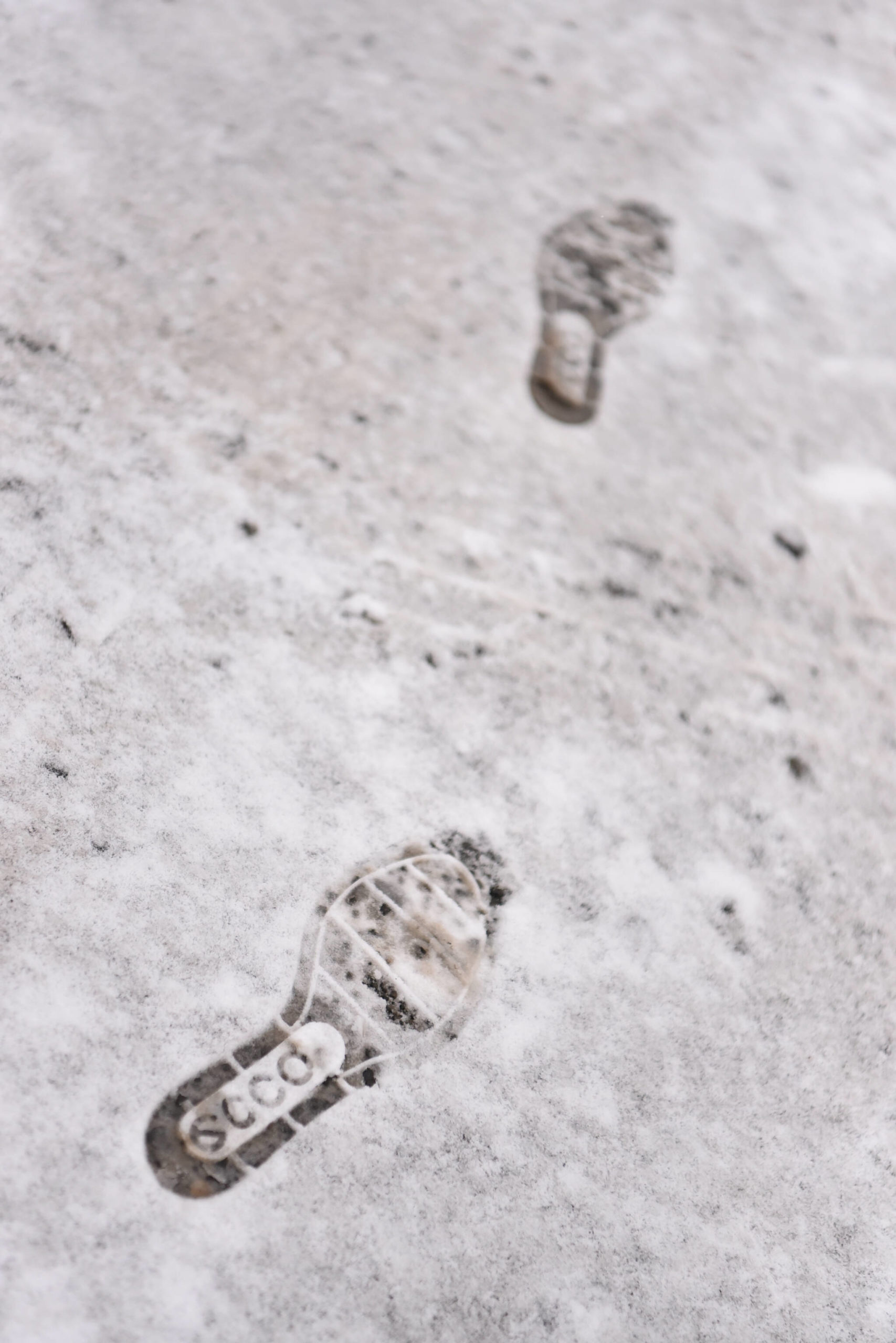 Footprints in Sakai Park.
