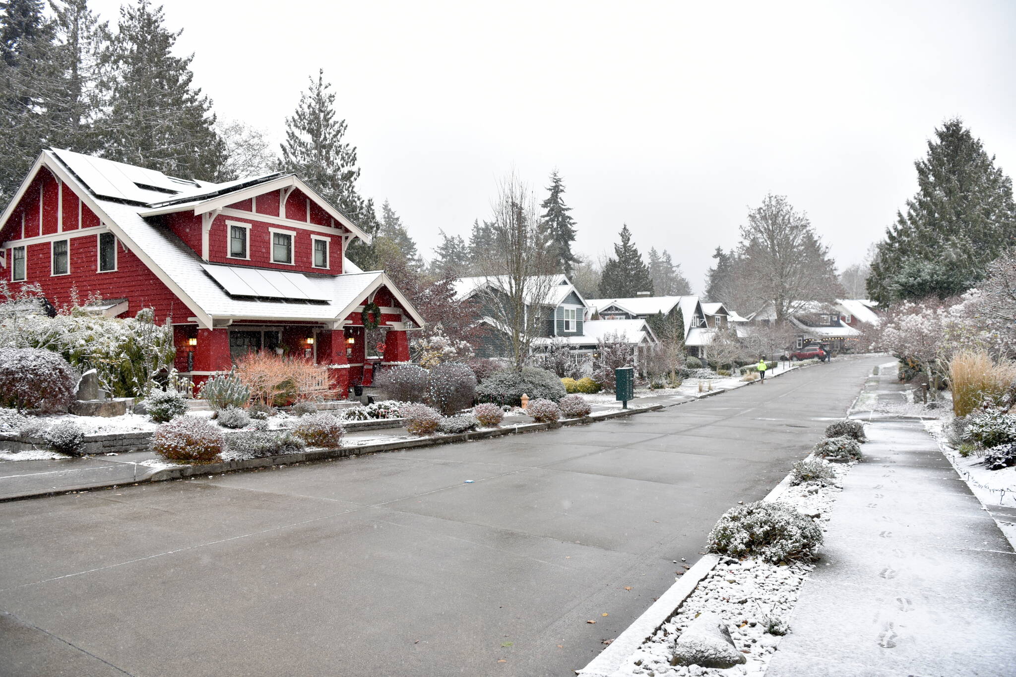 North Town Woods. Nancy Treder/Kitsap News Group Photos