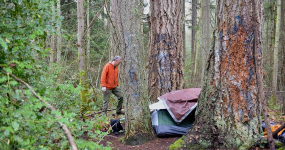 Bainbridge Island City Councilmember Joe Deets spots an encampment. Nancy Treder/Kitsap News Group Photos