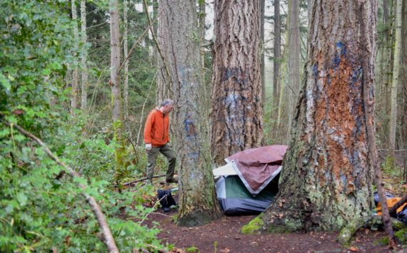 Bainbridge Island City Councilmember Joe Deets spots an encampment. Nancy Treder/Kitsap News Group Photos