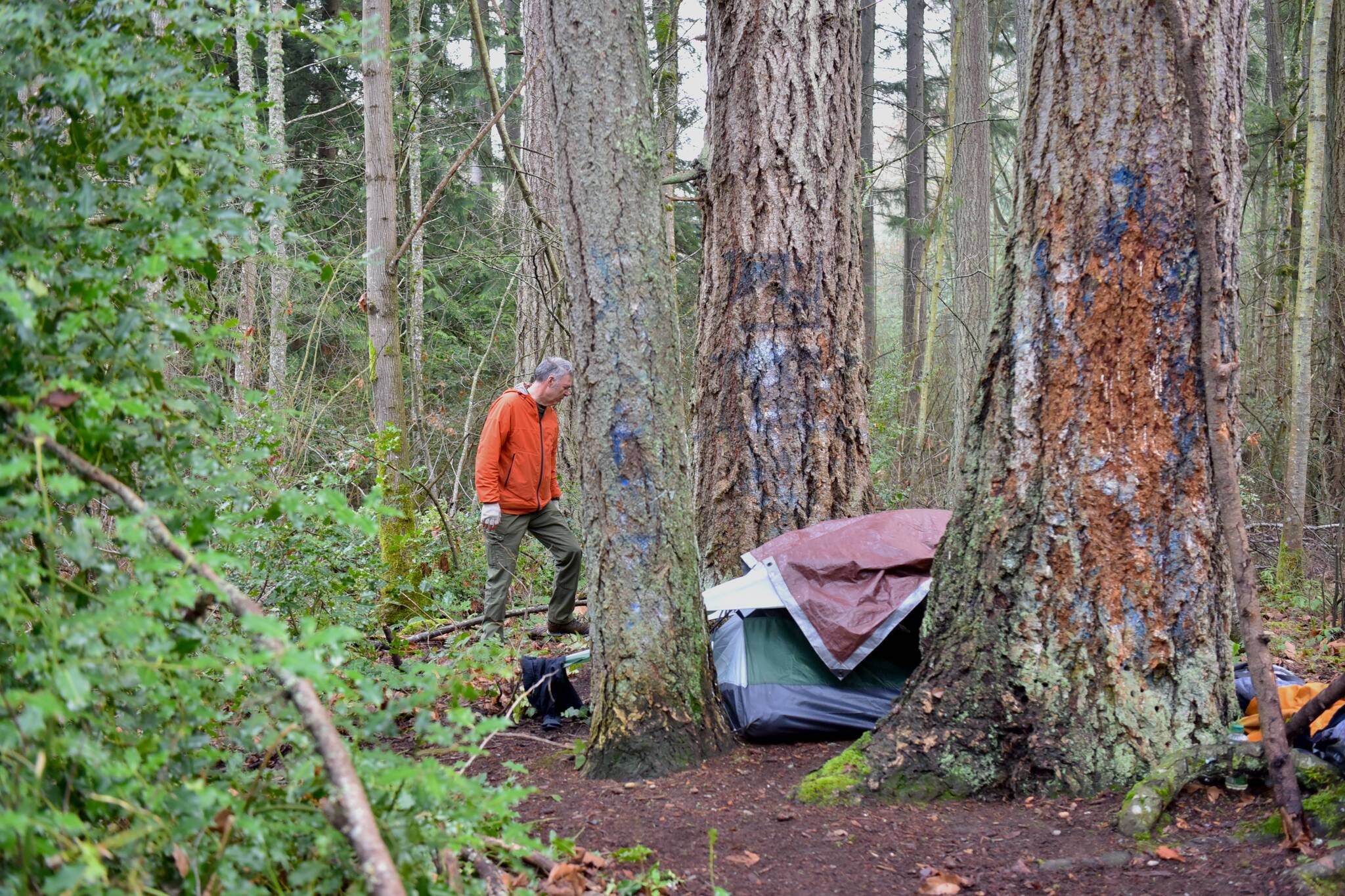 Bainbridge Island City Councilmember Joe Deets spots an encampment. Nancy Treder/Kitsap News Group Photos