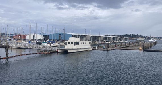 Port Orchard Marina. Elisha Meyer/Kitsap News Group