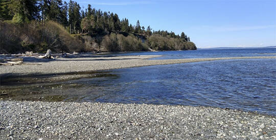 Beach walkers are sought for data collecting. Courtesy Photo