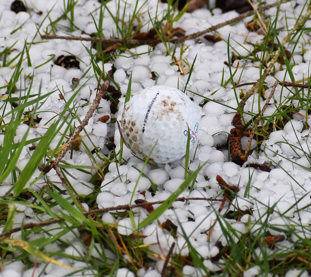 Several golf balls became stuck in puddles, sheets of ice and more.