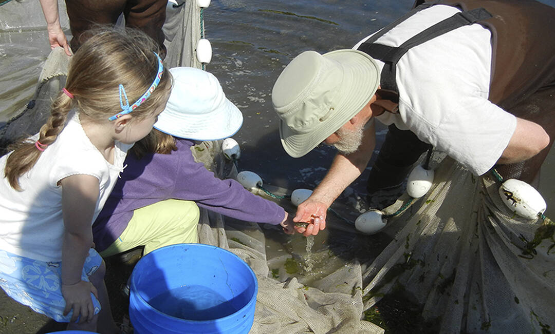 Suquamish biologist Paul Dorn shows seine contents to some youngsters.