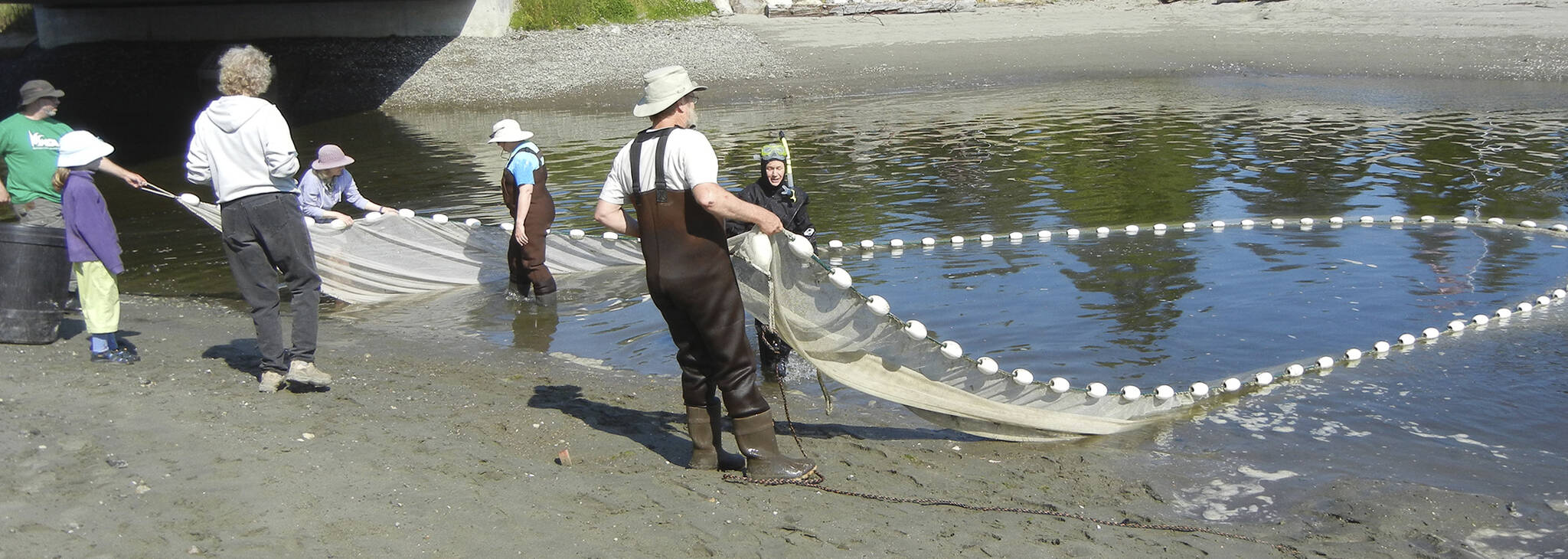 Beach seining at Arness Park. Stillwaters courtesy photos