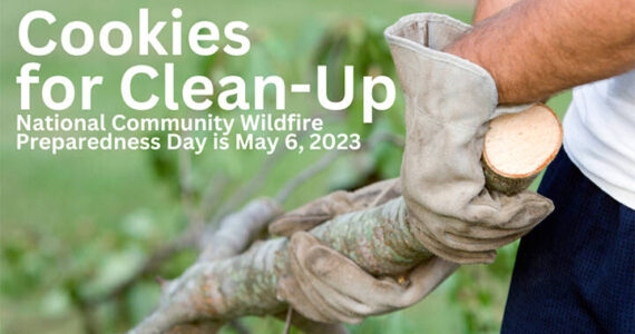 Cleaning up around your house to avoid wildfire could bring you cookies. NKF&R courtesy image