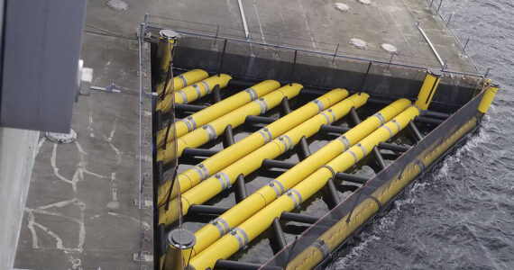 The device in place on the Hood Canal Bridge. Jeff Brown courtesy photo