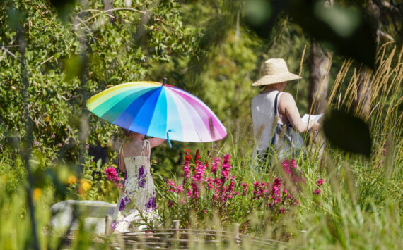 Visitors connect with the Bloedel Reserve grounds in a very individual, personal way. Erin Fisher photo