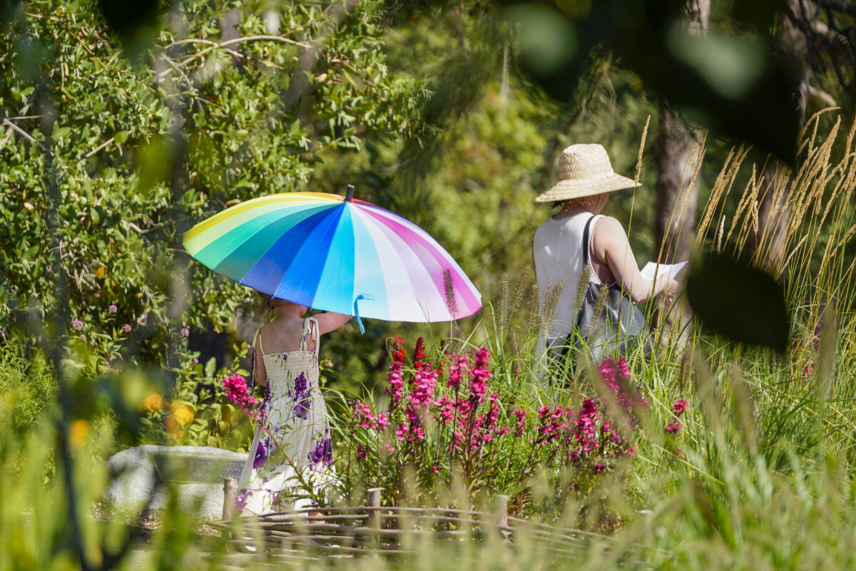 Visitors connect with the Bloedel Reserve grounds in a very individual, personal way. Erin Fisher photo