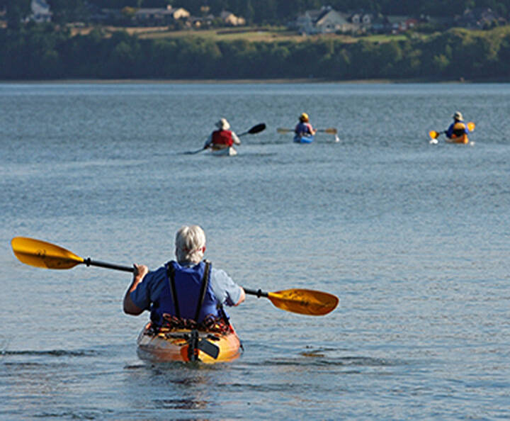 Peter Orbea courtesy photo
Kayakers paddle around Port Gamble.