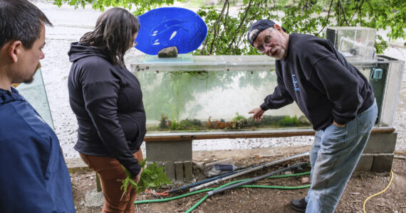 Al Phillips explains tank feature to visitors on a recent tour. Damon Williams/Kitsap News Group Photos