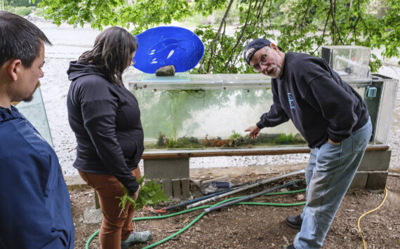 Al Phillips explains tank feature to visitors on a recent tour. Damon Williams/Kitsap News Group Photos