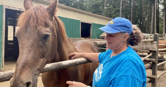 Director Tina Meekins says hi to one of the horses on site while its home is being raked. Elisha Meyer/Kitsap News Group