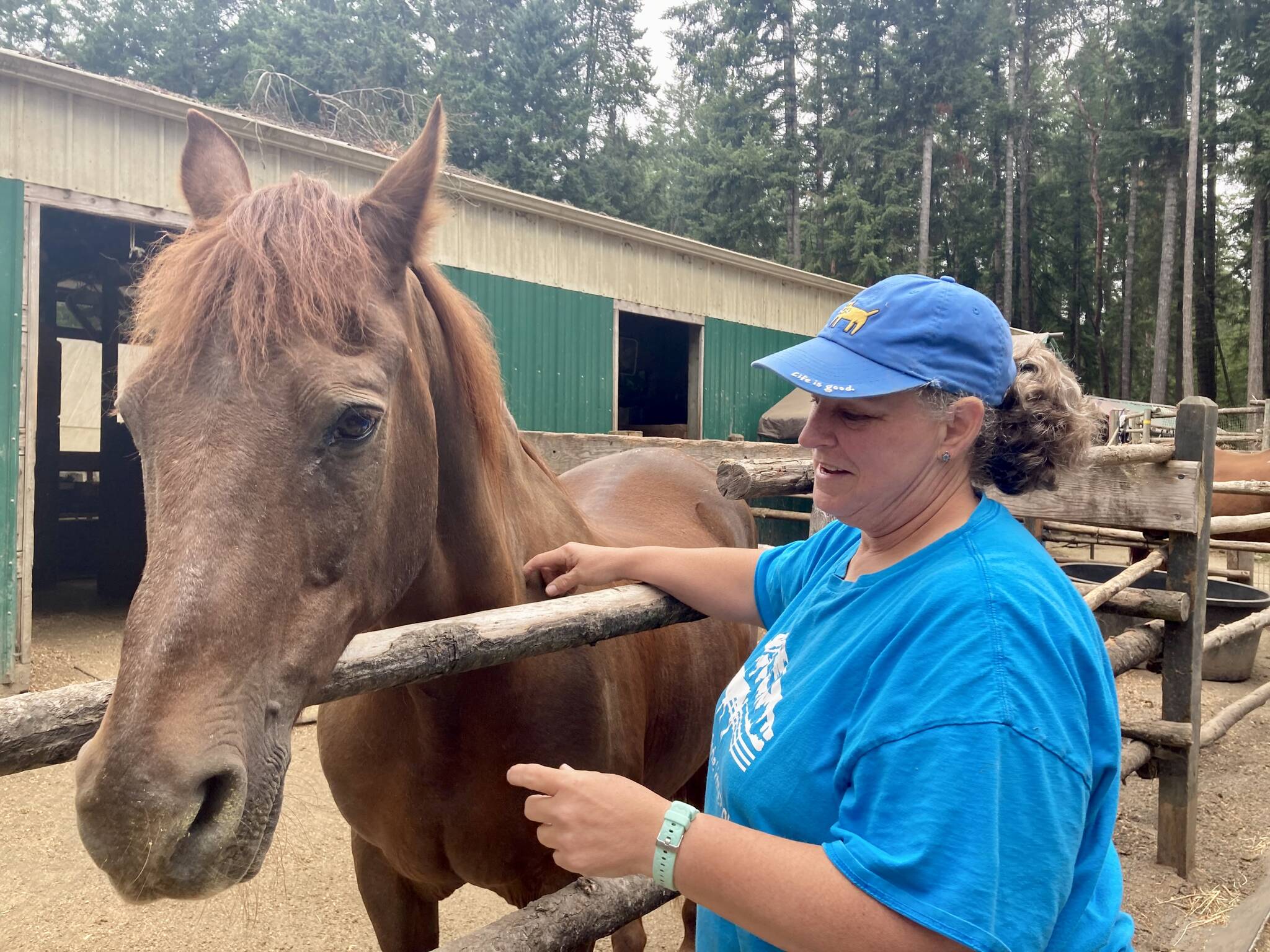 Director Tina Meekins says hi to one of the horses on site while its home is being raked. Elisha Meyer/Kitsap News Group