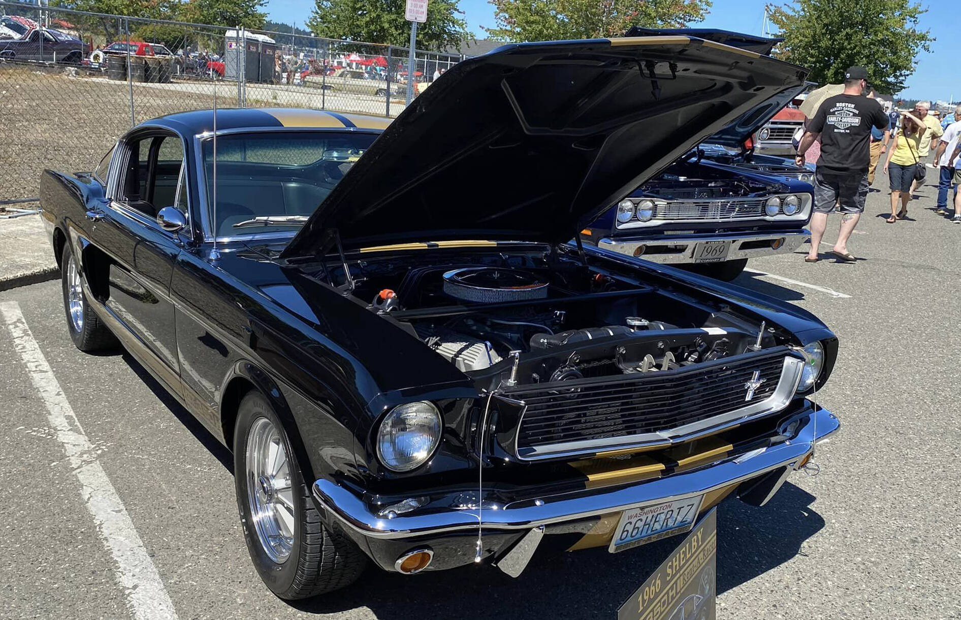 Visitors to the show enjoy looking at the clean engines in the vehicles. This 1966 Shelby was one of hundreds of classic cars on display at the 2022 Saints Car Club Car Cruz.
