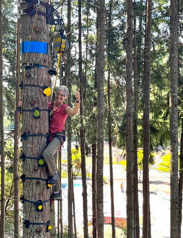 Test your courage at Kingston's new tree-climbing park