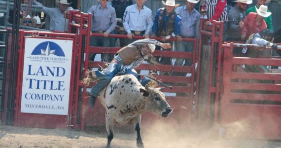 Elisha Meyer/Kitsap News Group Photos
Canyon Bass out of Johnson City, Texas rides his bull.