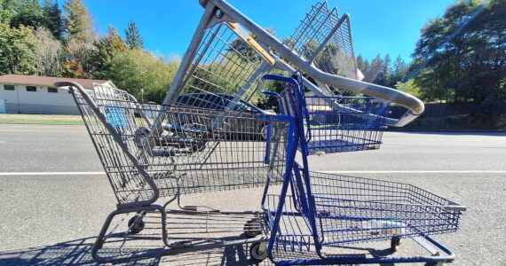 Elisha Meyer/Kitsap News Group
Stacked shopping carts stand tangled on the side of Highway 303, a few feet away from the driveways of homeowners.