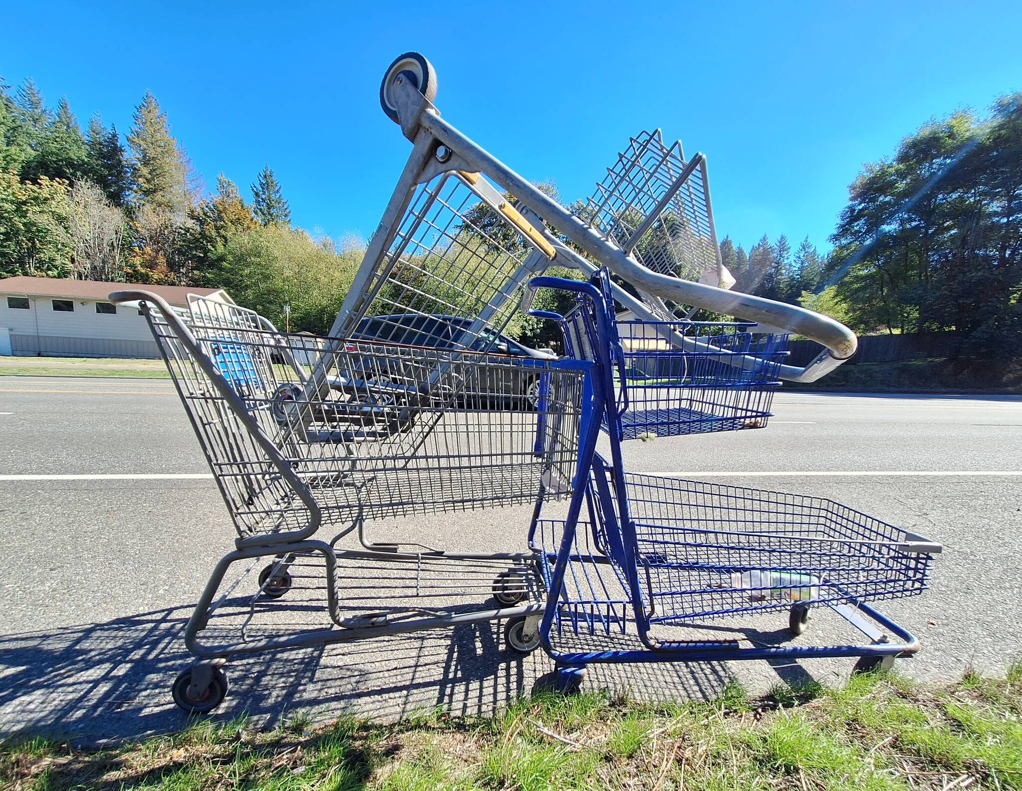 Elisha Meyer/Kitsap News Group
Stacked shopping carts stand tangled on the side of Highway 303, a few feet away from the driveways of homeowners.