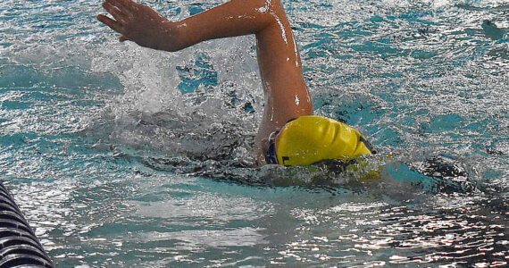 File Photos
Bainbridge swim and dive qualified in 10 out of 12 events.