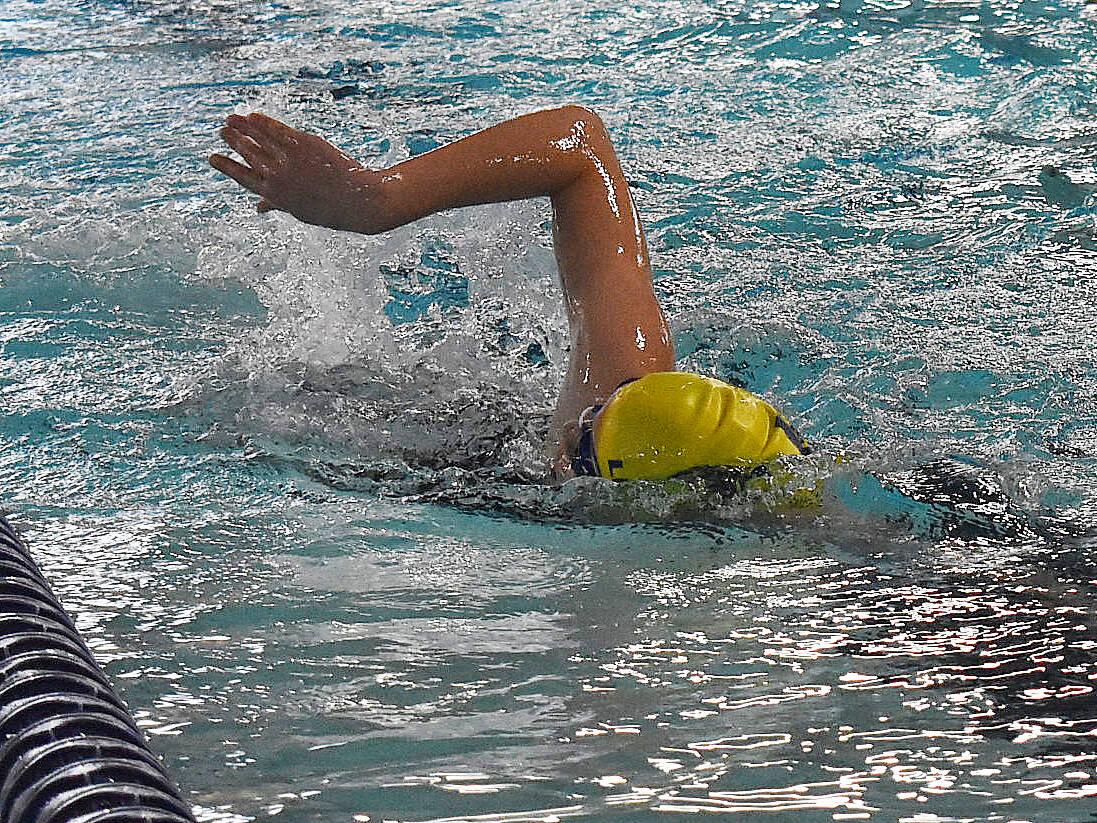 File Photos
Bainbridge swim and dive qualified in 10 out of 12 events.