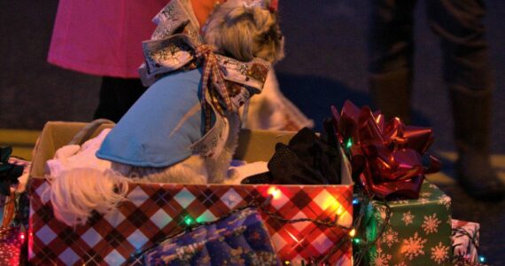 File Photo
A perfect pooch rides down Bay Street in the 2022 parade.