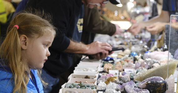 Damon Williams/Kitsap News Group Photos
Fans young and old enjoy looking at rocks at the gem show.