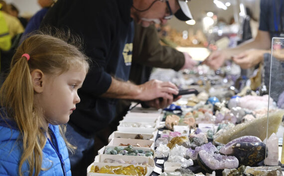 Damon Williams/Kitsap News Group Photos
Fans young and old enjoy looking at rocks at the gem show.