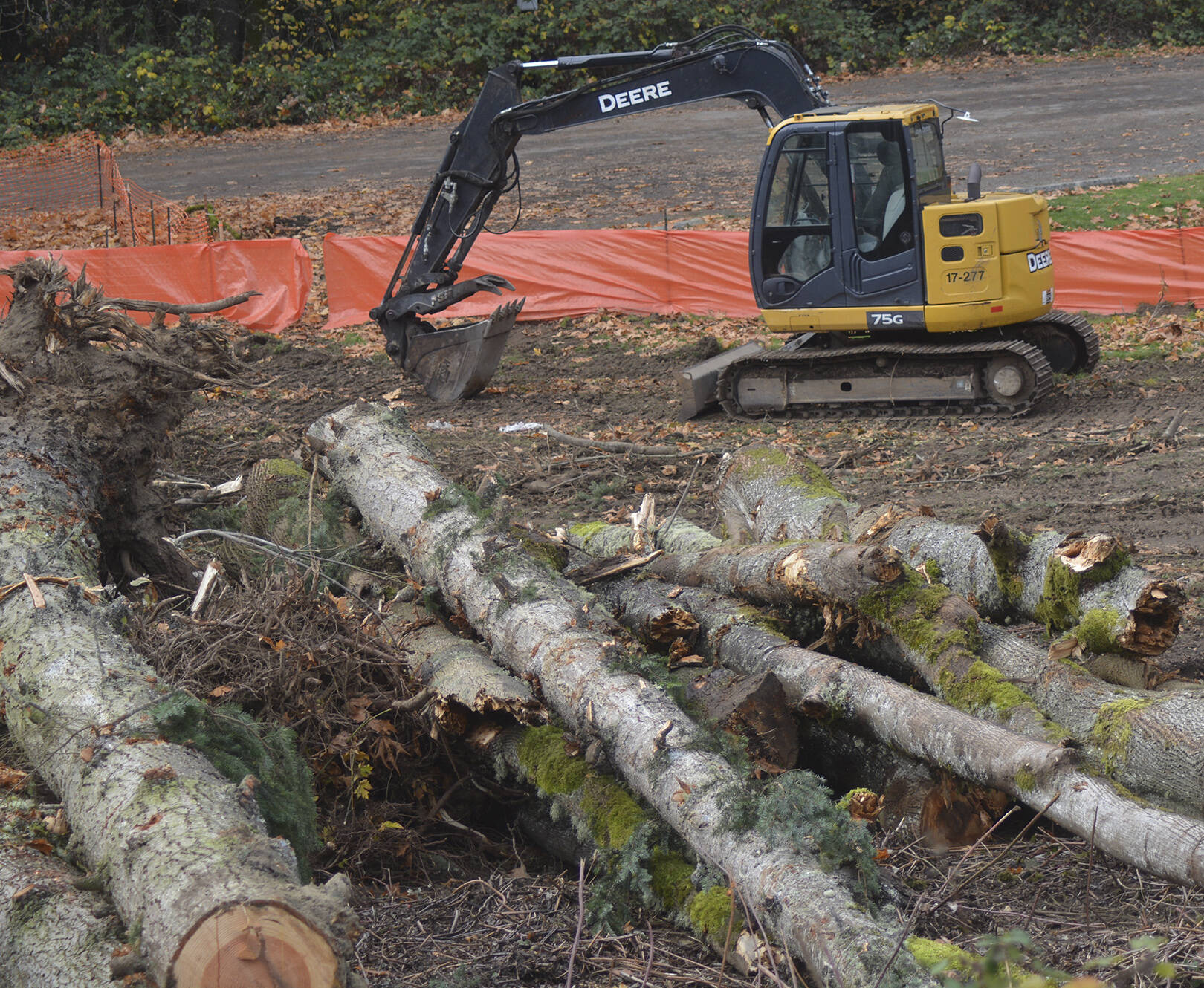 Steve Powell/Kitsap News Group
Some trees are coming down along Highway 305 to make room for a roundabout.