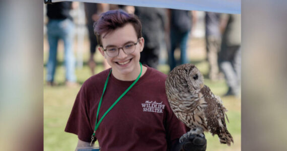 Injured or abandoned wildlife that are unable to re-enter their natural habitats become wildlife ambassadors, helping WSWS educate children and adults in schools and events.