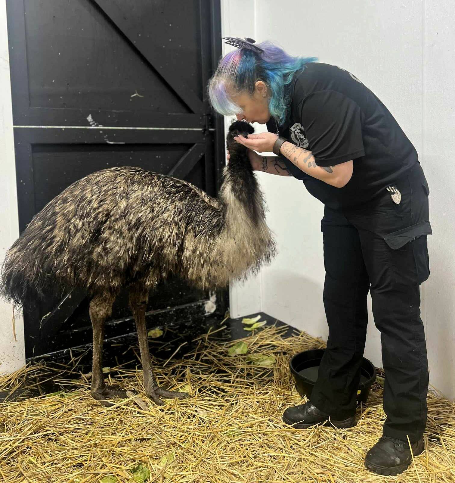 Mike Bush courtesy photo
Jen Dunlap, right, shares a loving kiss with Elliot the emu.