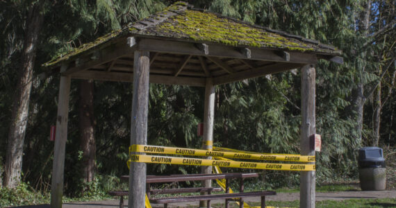 Molly Hetherwick/Kitsap News Group
The city of Bainbridge Island states that it does not have a replacement structure planned following the removal of the gazebo.