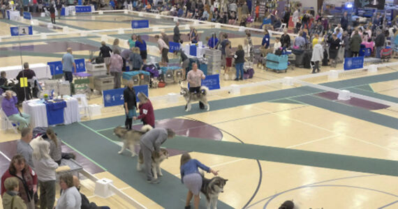 Damon Williams/Kitsap News Group photos
A pavilion at the Kitsap County Fairgrounds in Bremerton is packed with people and dogs March 23 for the Peninsula Dog Fanciers Club obedience competition. Dogs of many types of breeds, and their handlers, competed in the event.