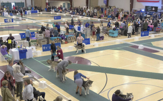 Damon Williams/Kitsap News Group photos
A pavilion at the Kitsap County Fairgrounds in Bremerton is packed with people and dogs March 23 for the Peninsula Dog Fanciers Club obedience competition. Dogs of many types of breeds, and their handlers, competed in the event.